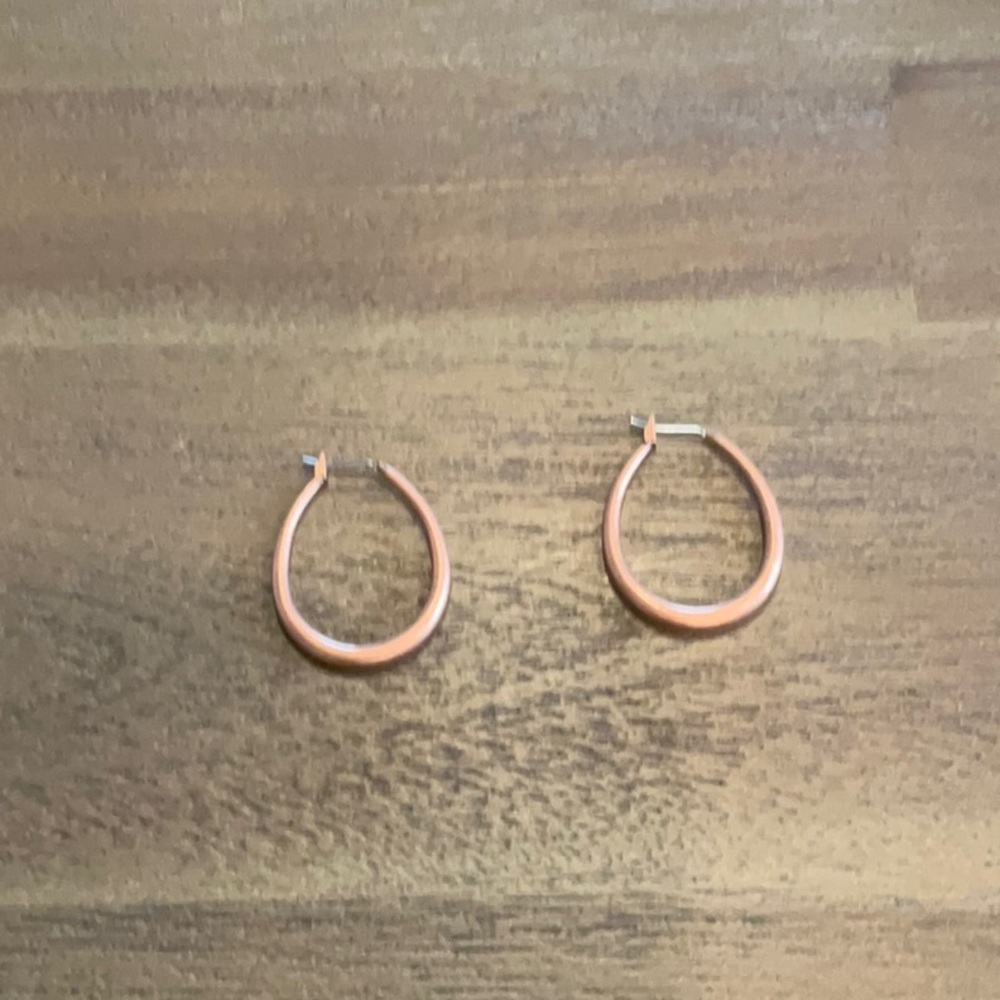 Copper colored Hoop Earrings